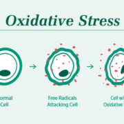 oxidative stress hydrogen